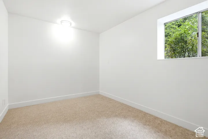 New Carpet & Walk In Closet