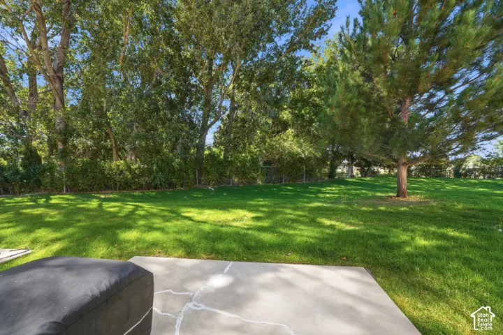 Expansive green lawn with mature trees and a concrete patio