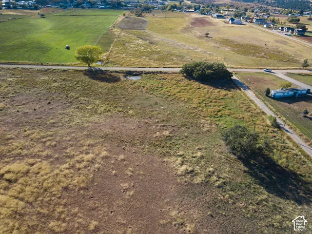 Expansive undeveloped land featuring mature trees and a rural road frontage