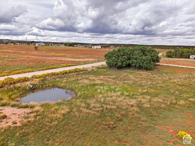 Expansive open land featuring natural vegetation, a tranquil pond, and established trees