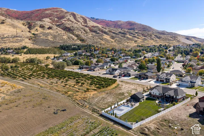 Expansive property with a large manicured lawn, full basketball court, white privacy fencing, and an additional detached structure
