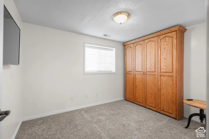 Built-in wood cabinetry, neutral carpeting, and a window with blinds