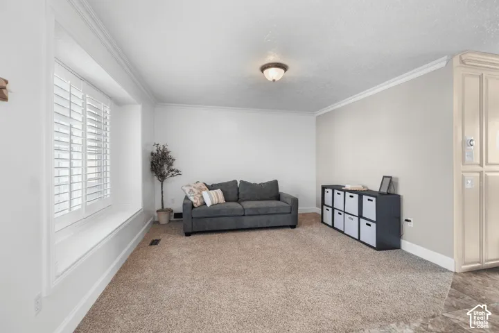 Carpeted flooring, crown molding, plantation shutters, and recessed lighting fixtures