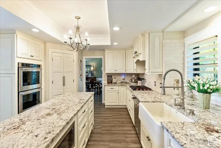 Gourmet kitchen featuring a center island, extensive stone countertops, a farmhouse sink, stainless steel appliances, and wood-finish flooring