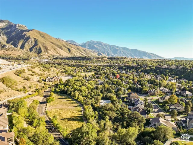 Mountainous backdrop with a residential neighborhood and mature trees