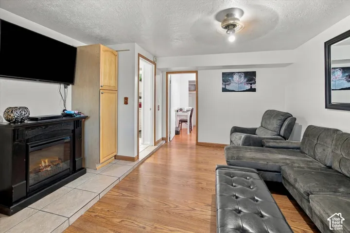 Basement Family Room
