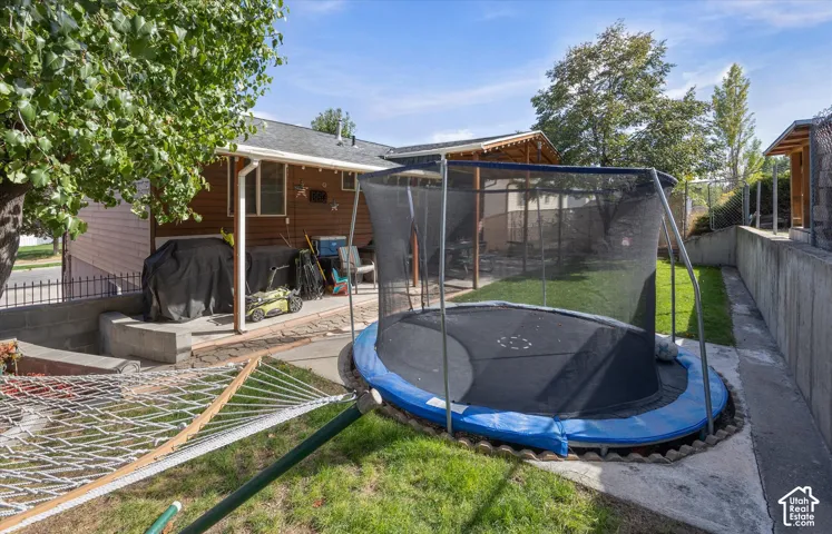 In-ground trampoline, mature trees