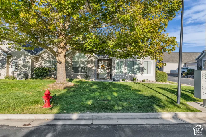 Stone and stucco exterior with a dark shingle roof, featuring a mature shade tree and manicured lawn
