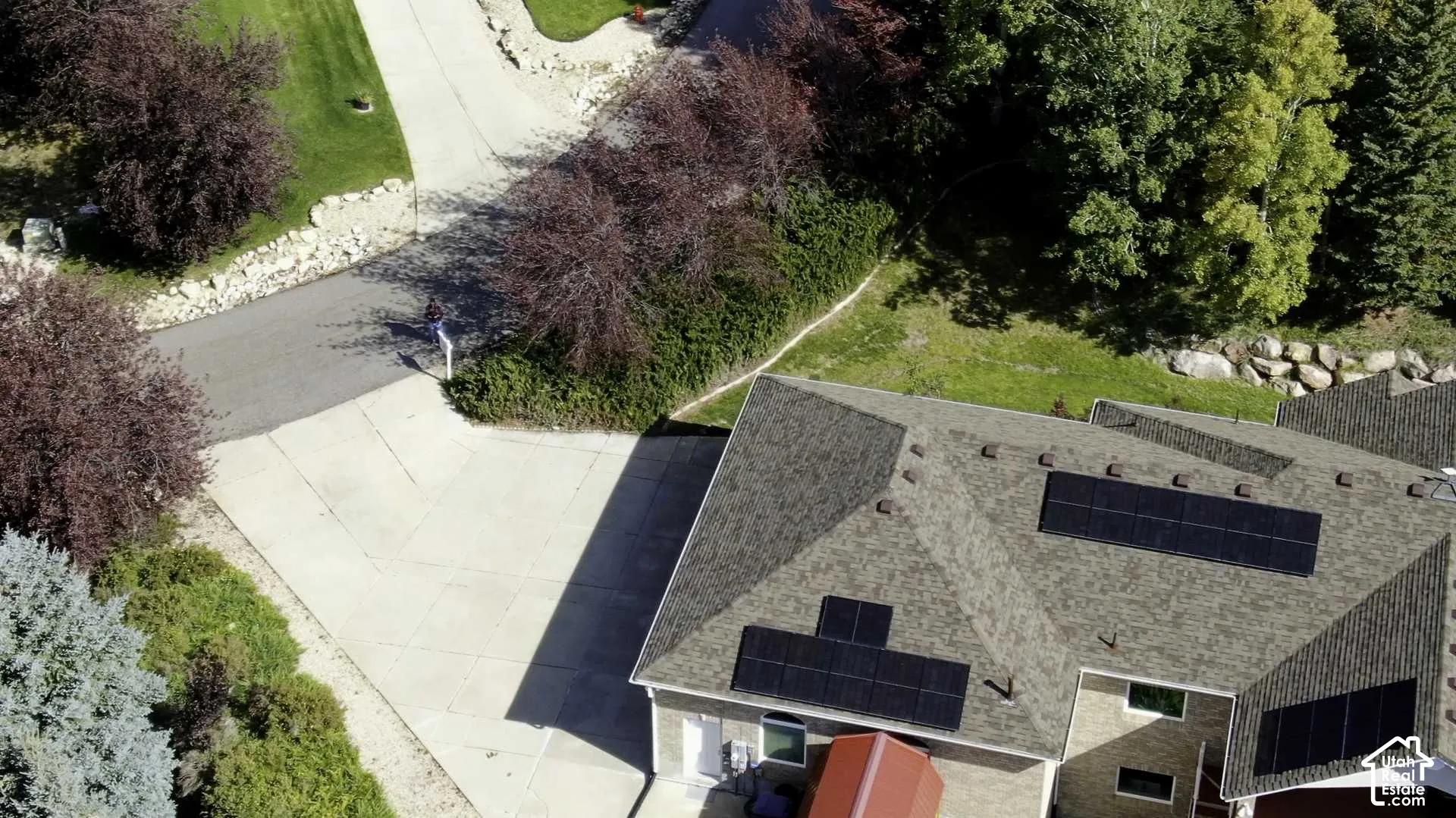 Pitched roof with solar panels, concrete driveway, lush green landscaping, and mature trees