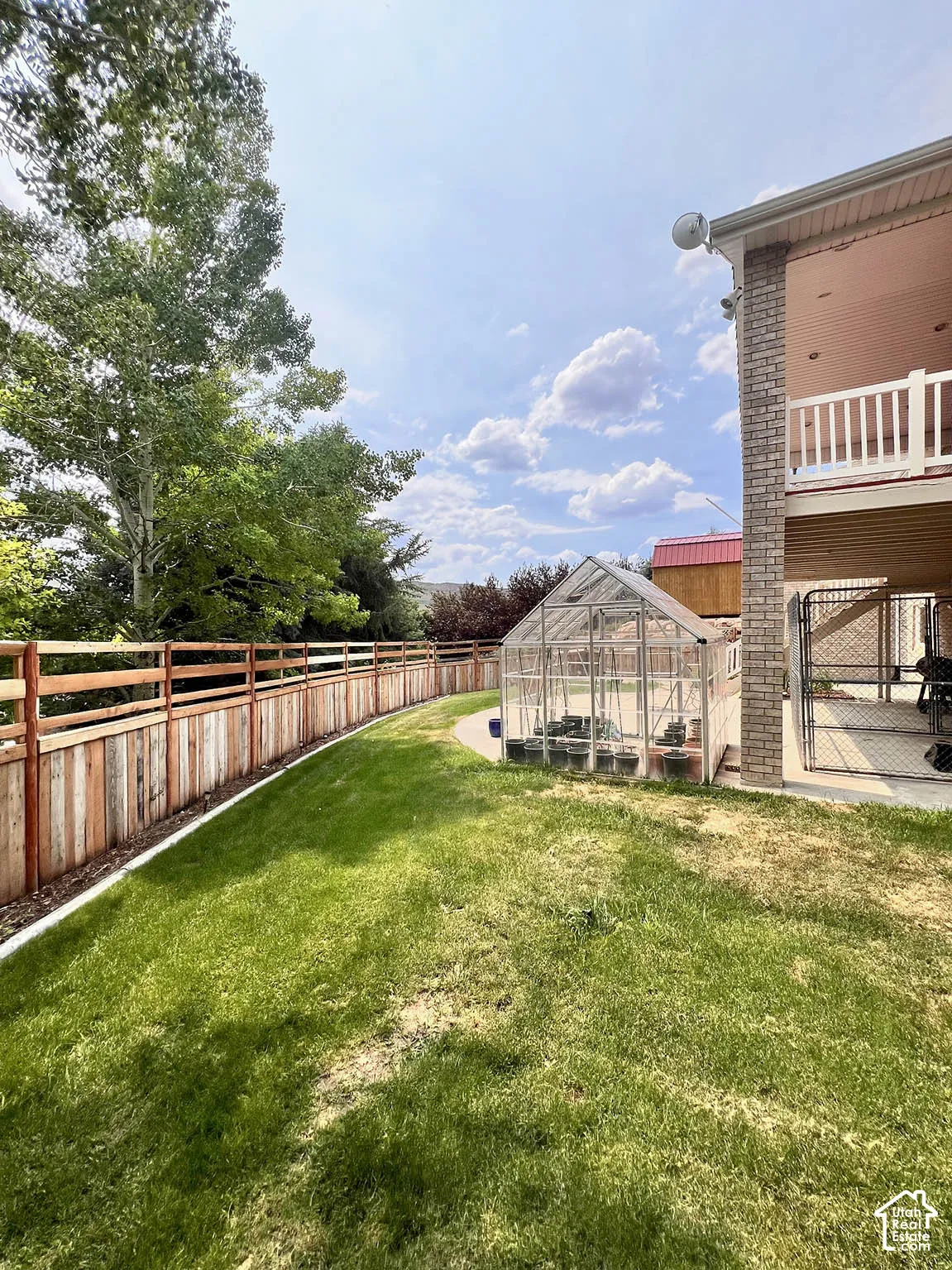 Expansive lawn with a wooden fence, mature trees, and a walk-out patio featuring a greenhouse