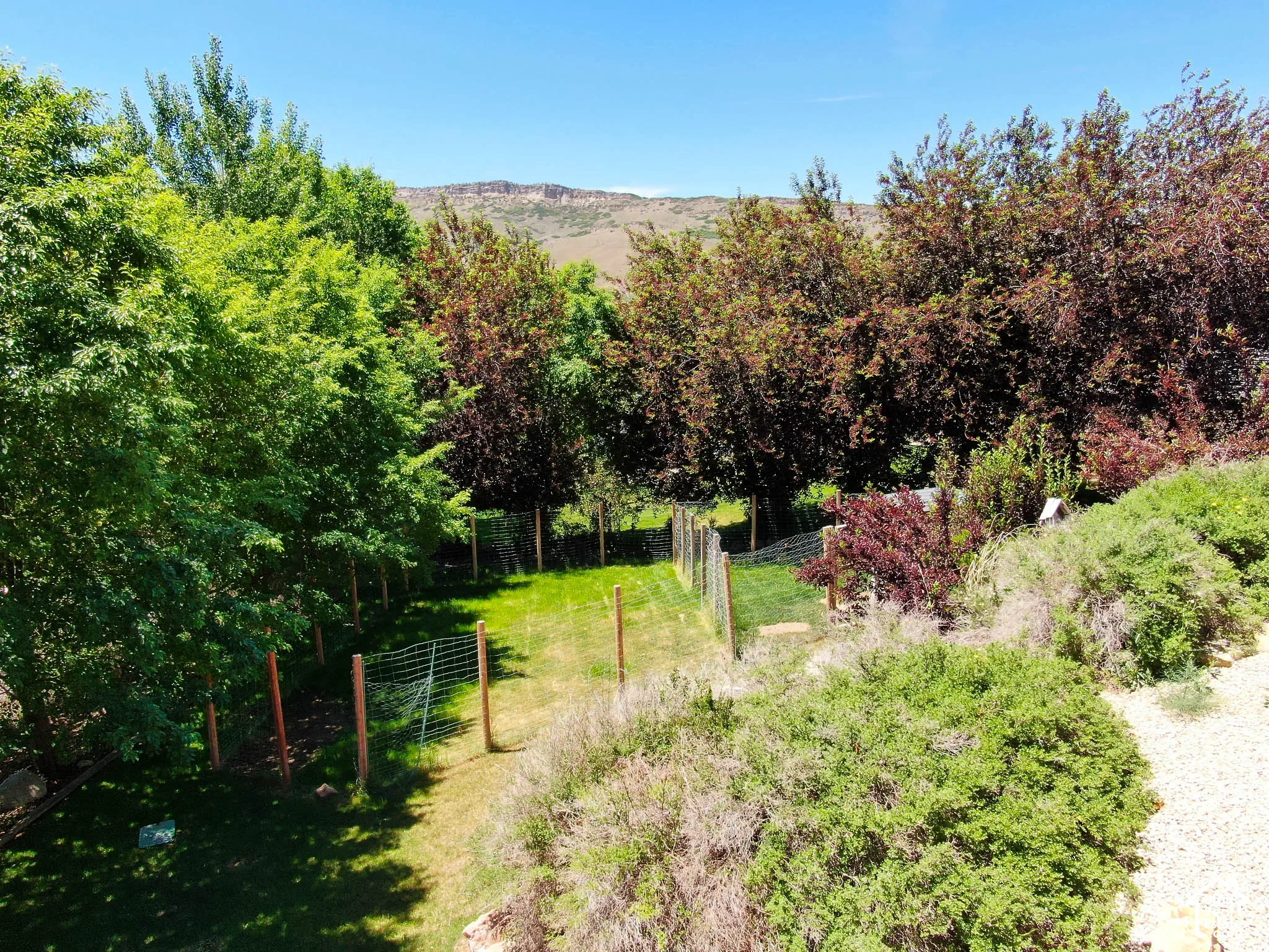 Expansive outdoor space featuring a manicured lawn, established landscaping, and partial fencing