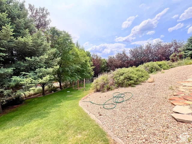 Expansive lawn with mature coniferous and deciduous trees, bordered by a gravel landscaping bed and natural stone pavers