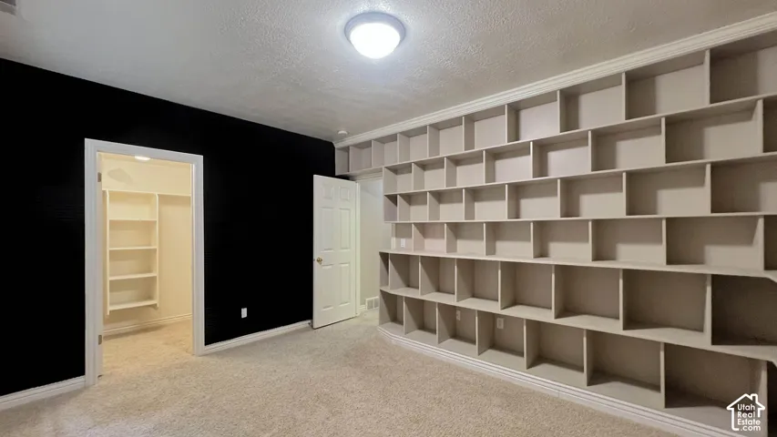Built-in shelving with varied compartments, light beige carpet flooring, and a walk-in closet with built-in shelving