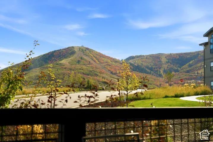 Expansive mountain landscape with diverse foliage
