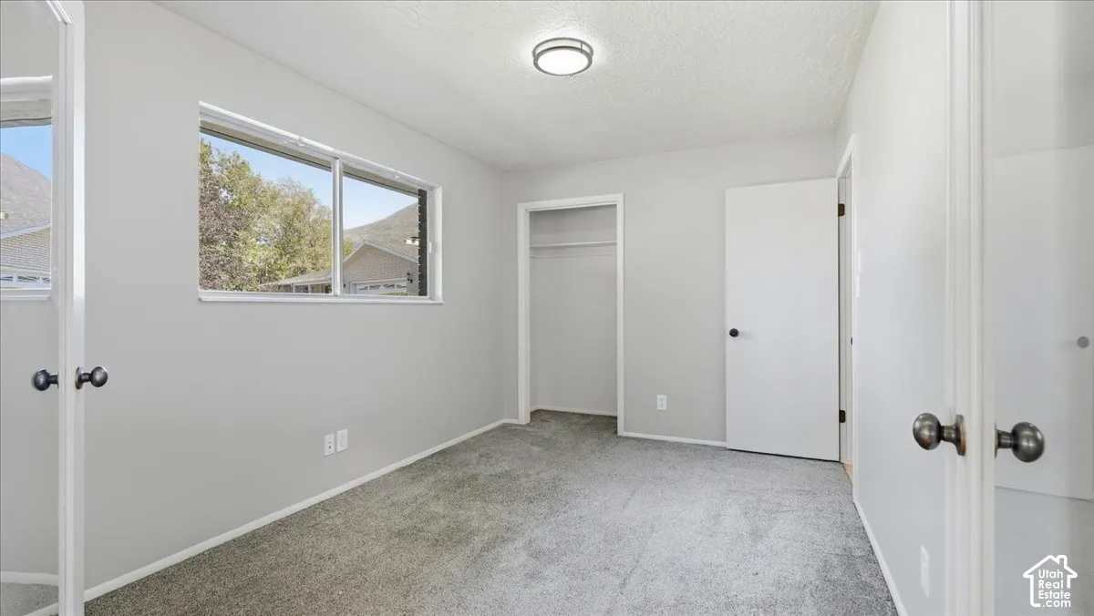 Carpeted room featuring a double-paned window, neutral wall paint, and an overhead flush-mount light fixture