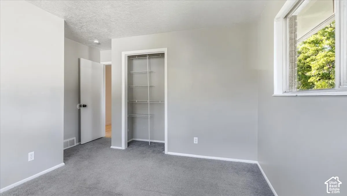 Plush gray carpeting, white trim work, and a window with natural light
