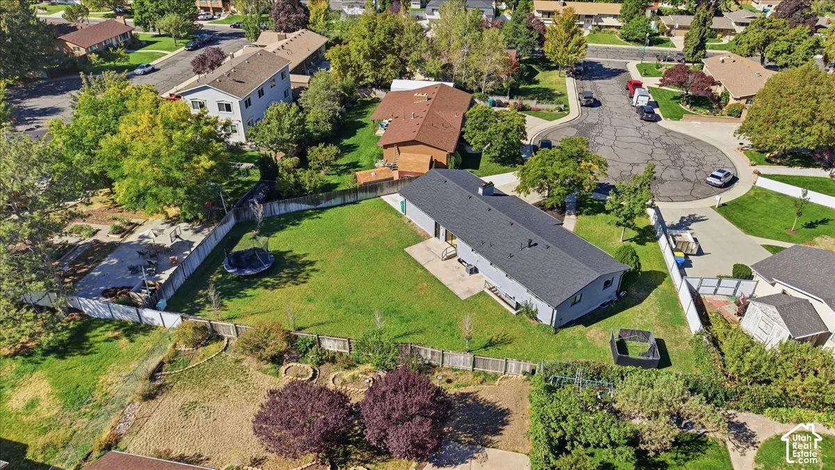 Expansive rear yard with a manicured lawn, established landscaping, and a concrete patio