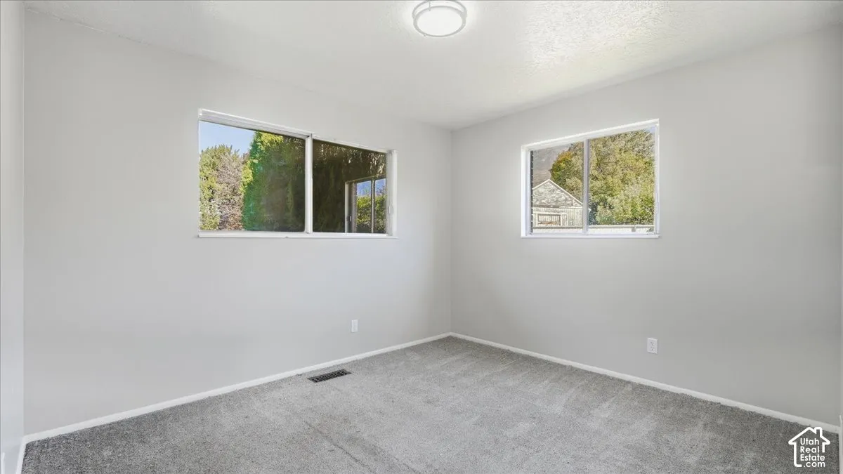 Neutral wall tones, dual windows, ceiling-mounted light fixture, and carpeting