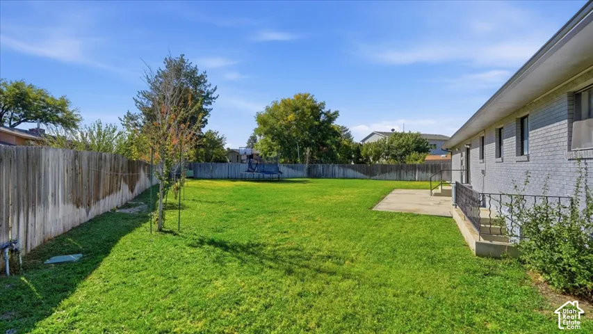 Expansive grassy yard with mature perimeter fencing