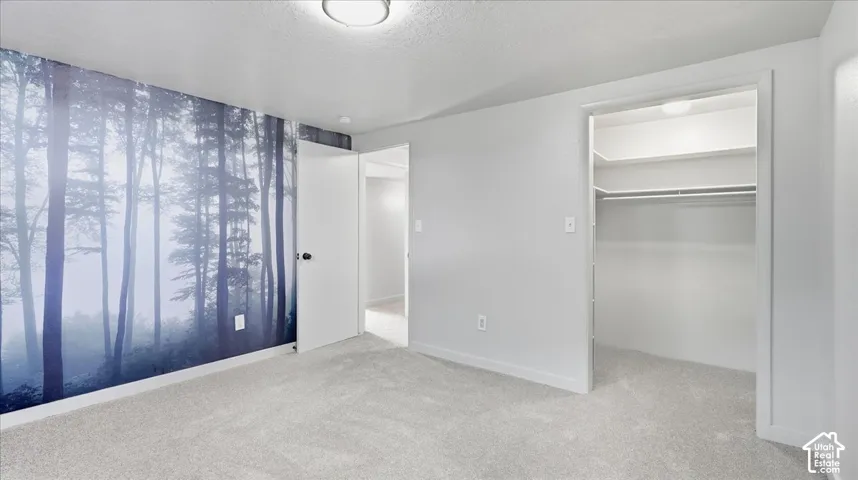 Spacious room with plush carpeting, accent wall, and built-in closet shelving