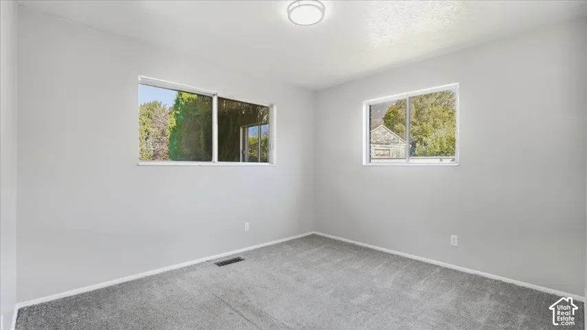 Neutral wall tones, dual windows, ceiling-mounted light fixture, and carpeting