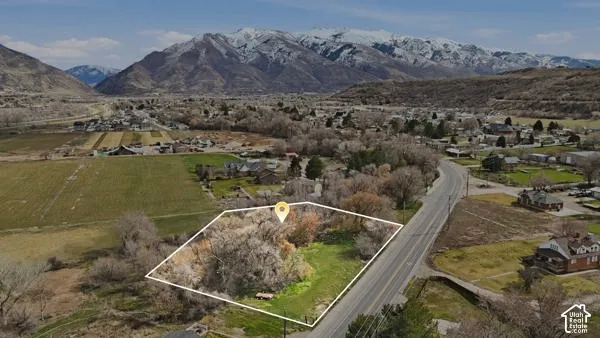 Expansive undeveloped parcel featuring mature trees, surrounding open land, a paved road border, and a prominent mountain backdrop
