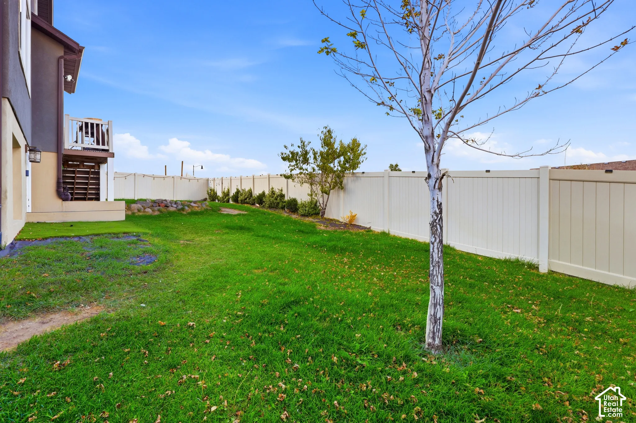 Expansive backyard featuring a manicured lawn, established tree, and a full privacy fence