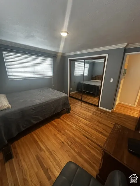 Hardwood flooring, crown molding, ceiling-mounted lighting, mirrored closet doors, and window blinds