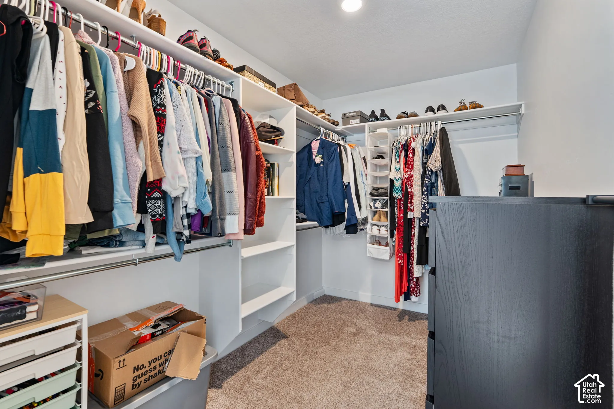 Walk-in closet featuring built-in shelving, multiple hanging rods, and carpet flooring