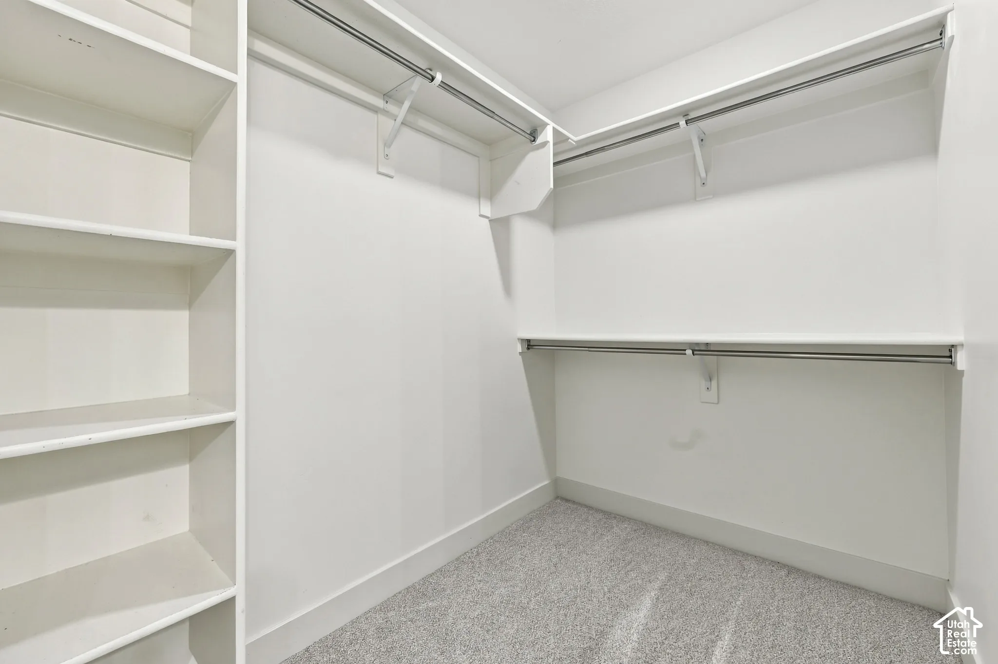 Built-in shelving, chrome hanging rods, wall-mounted shelving, and carpeted flooring