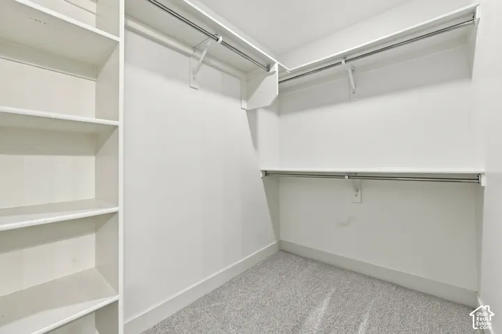 Built-in shelving, chrome hanging rods, wall-mounted shelving, and carpeted flooring