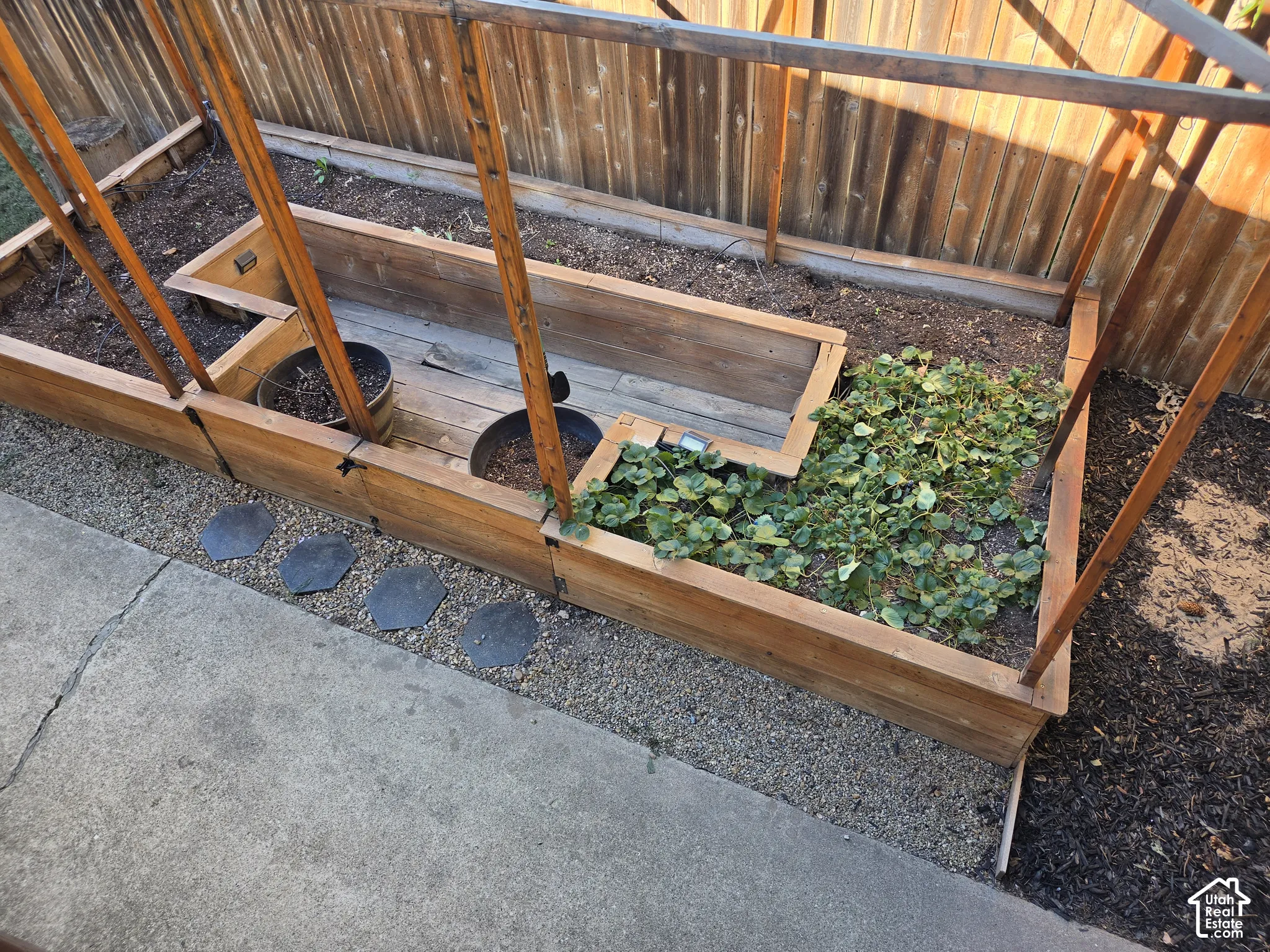Raised garden beds with wood framing