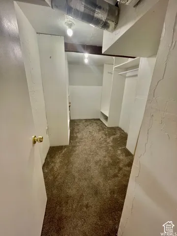 Carpeted interior space with overhead lighting and built-in shelving