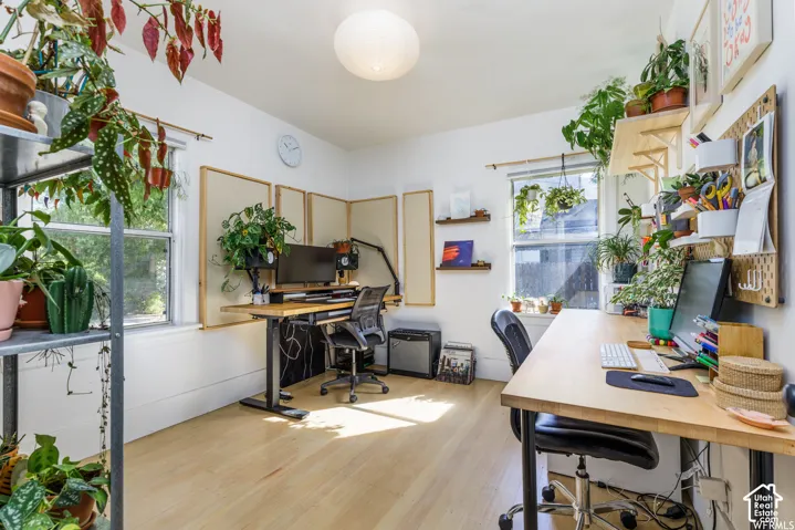 Light-toned wood-finish flooring, white walls, and dual windows