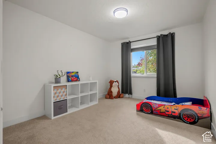 Soft carpeting and a flush-mount ceiling light illuminate a bright interior space with white walls and a double window