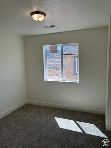 Neutral wall paint, ceiling-mounted light fixture, carpeted flooring, and a large window