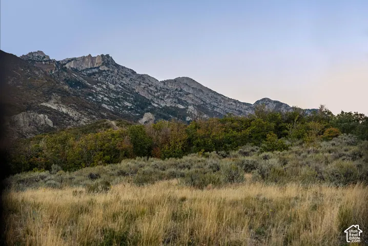 Expansive natural landscape featuring a mountain range and varied vegetation