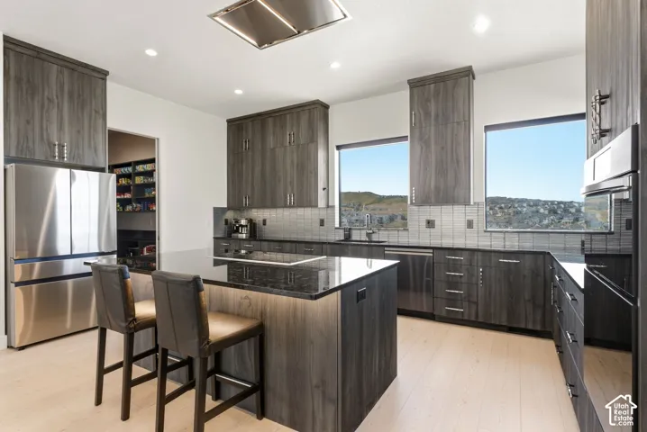 Kitchen featuring light wood-finish flooring, dark wood-finish cabinetry, stainless steel appliances, and a central island with a dark countertop
