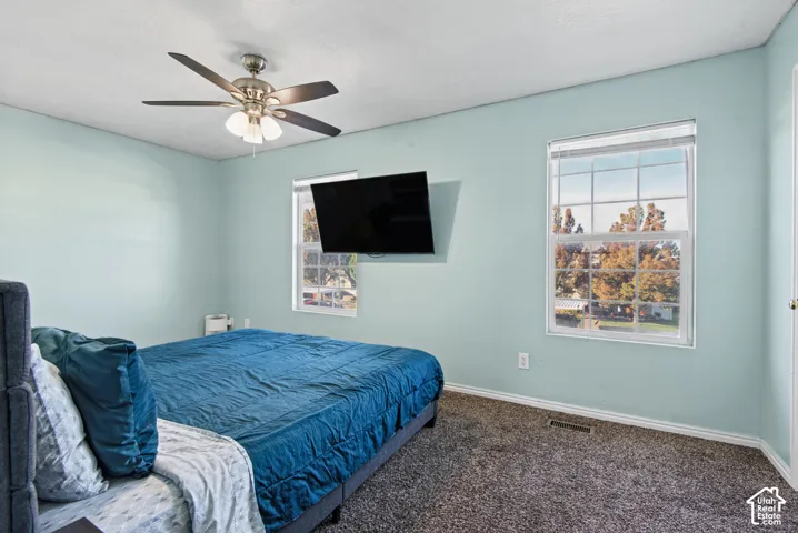 Carpeted flooring, ceiling fan with light fixture, and two double-hung windows
