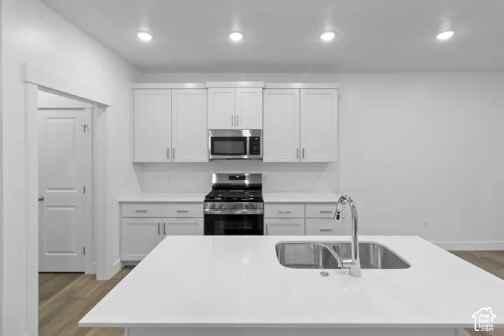 Kitchen featuring white cabinetry, stainless steel appliances, a center island with an undermount double basin sink, and recessed lighting