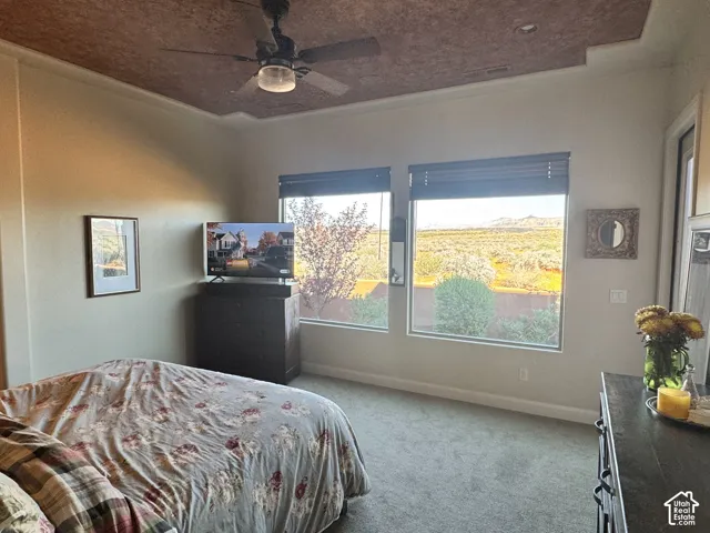 Recessed ceiling with an accent panel, ceiling fan with integrated lighting, two large windows with blinds, and carpeting