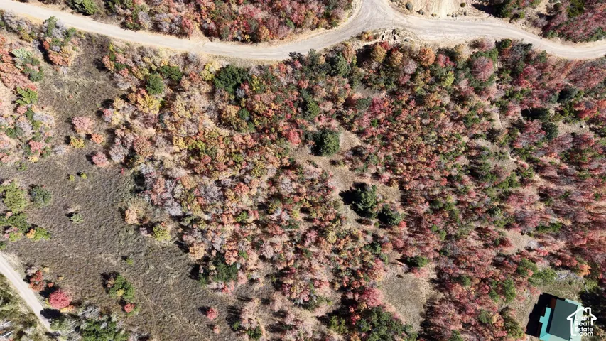 Extensive acreage with varied terrain, featuring abundant deciduous trees displaying autumn foliage