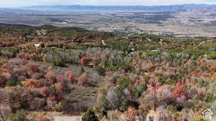 Expansive wooded landscape featuring varied autumn foliage and distant mountain ranges