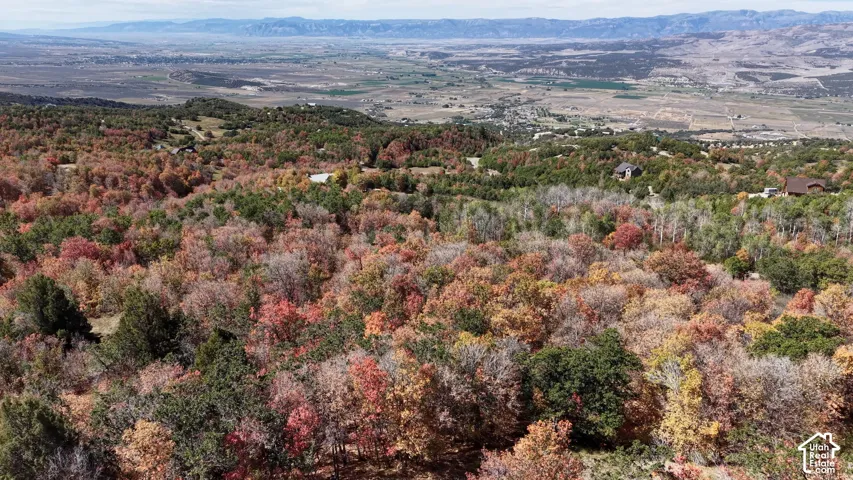 Expansive wooded terrain with varied autumn foliage and distant mountain ranges