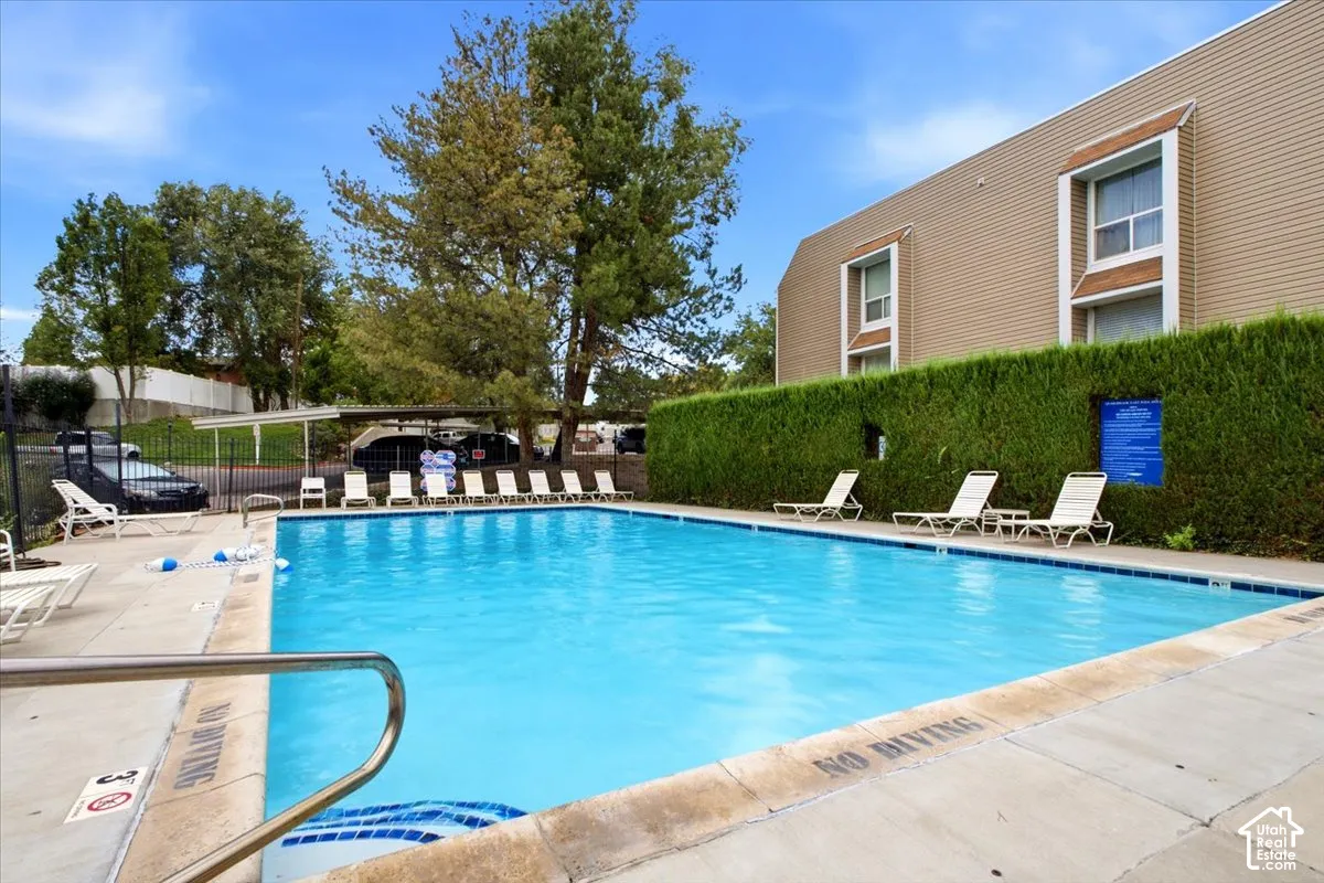 Swimming pool with a concrete surround, metal handrail, and a hedge privacy barrier