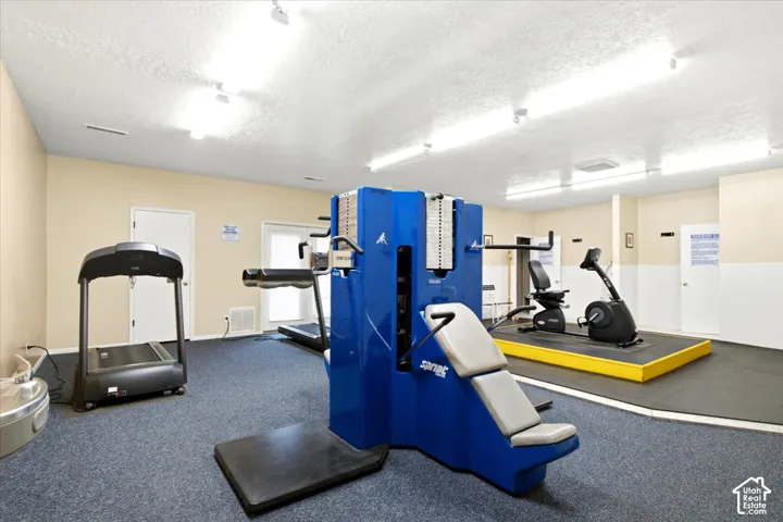 Carpeted exercise room with track lighting, dual-tone walls, and multiple dedicated activity zones