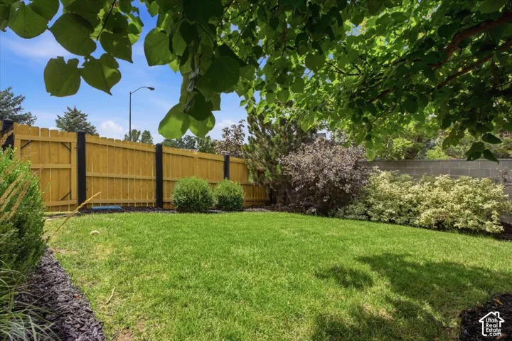 Expansive lawn area with a wood privacy fence, mature trees, and established landscaping