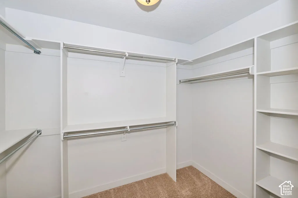 Walk-in closet featuring white built-in shelving, integrated hanging rods, and neutral carpeting