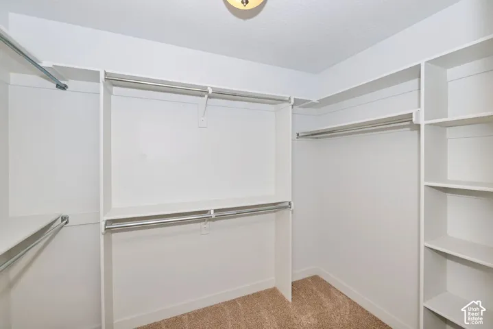 Walk-in closet with built-in shelving, chrome hanging rods, and neutral-toned carpeting