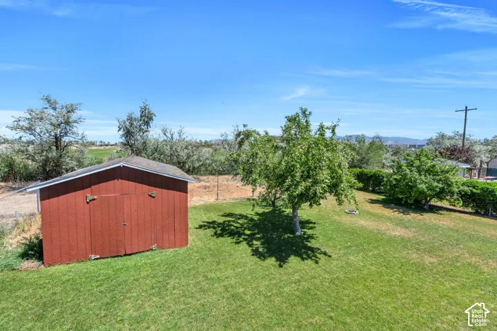 Expansive grassy yard featuring a red storage shed, mature shade trees, and perimeter fencing